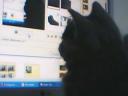 webcam-017.jpg